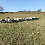 Cragg House Farm Alojamento de Acomodação e Pequeno-almoço