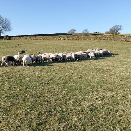 Cragg House Farm Bed & Breakfast