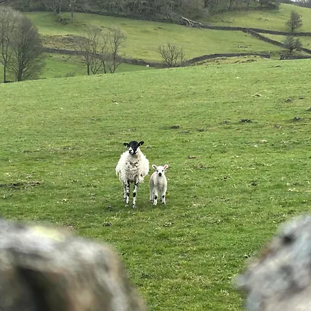 Bed & Breakfast Cragg House Farm 3*