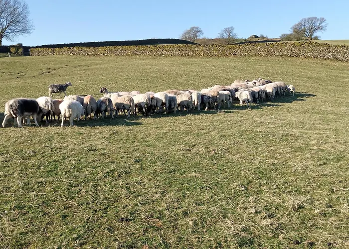 Cragg House Farm Bed & Breakfast