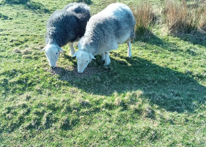 Cragg House Farm Bed & Breakfast 3*