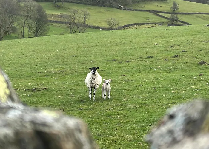 Bed & Breakfast Cragg House Farm 3*